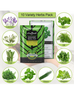 Kit de Jardín de Hierbas X M - 10 Variedades para Interior 2