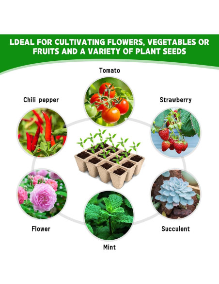 10 Paquetes Bandejas de Germinación Biodegradables Loongesho