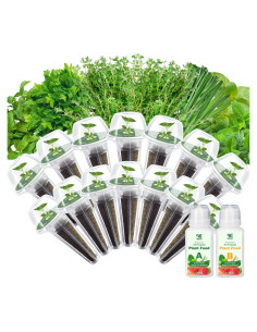 Kit de Cápsulas de Semillas de Hierbas Gourmet HiHOYA 14 Unidades