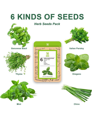 Kit de Cápsulas de Semillas de Hierbas Gourmet HiHOYA 14 Unidades