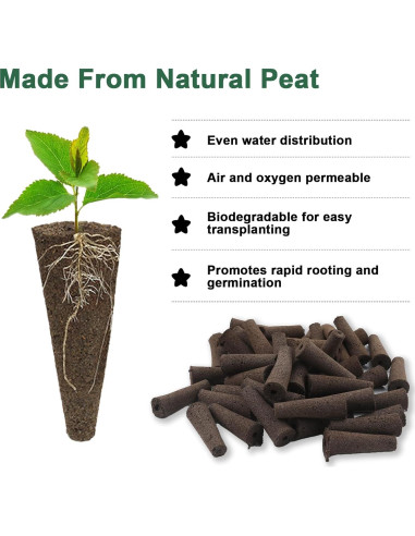 Kit de Cápsulas de Semillas de Hierbas Gourmet HiHOYA 14 Unidades