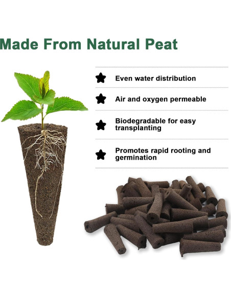 Kit de Cápsulas de Semillas de Hierbas Gourmet HiHOYA 14 Unidades