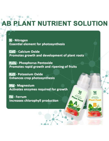 Kit de Cápsulas de Semillas de Hierbas Gourmet HiHOYA 14 Unidades