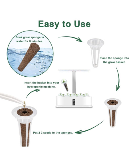 Kit de Cápsulas de Semillas de Hierbas Gourmet HiHOYA 14 Unidades
