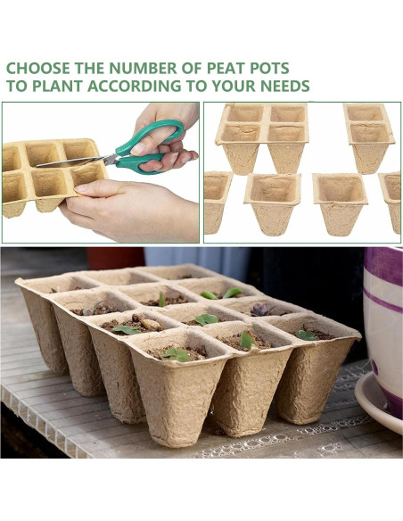 Bandeja de Inicio de Semillas Doubleggs 120 Celdas Biodegradables