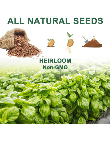 Kit de Cápsulas de Semillas de Hierbas Gourmet HiHOYA 14 Unidades