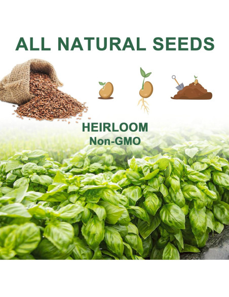 Kit de Cápsulas de Semillas de Hierbas Gourmet HiHOYA 14 Unidades