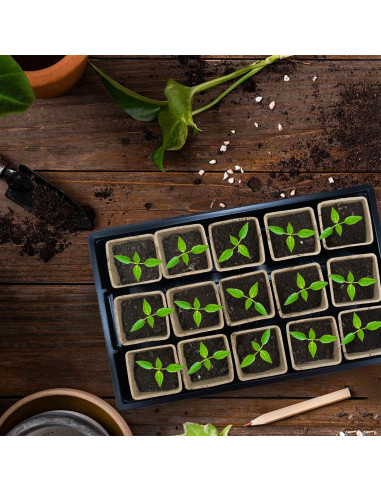 JOPY Kit de Bandejas para Iniciar Semillas 4 Piezas 120 Macetas