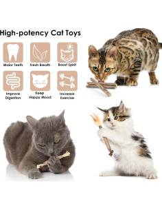 Bissap 10 PCS Palos de Silvervine para Gatos - Juguetes Dentales Naturales 2