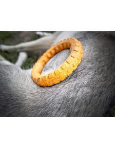 Juguete de Masticar Dental Grande Spunky Pup Gnaw Guard 2