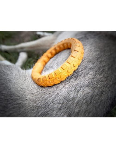 Juguete de Masticar Dental Grande Spunky Pup Gnaw Guard