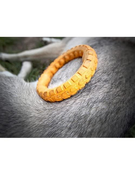 Juguete de Masticar Dental Grande Spunky Pup Gnaw Guard