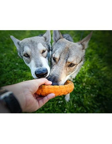 Juguete de Masticar Dental Grande Spunky Pup Gnaw Guard