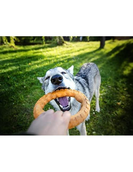 Juguete de Masticar Dental Grande Spunky Pup Gnaw Guard