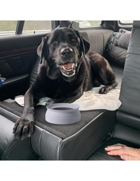 Tazón de Agua Plegable SLSON para Perros a Prueba de Derrames