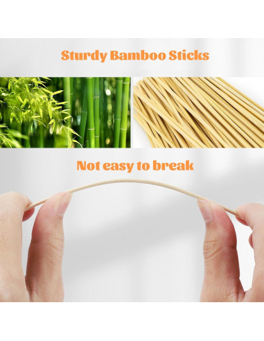 500 Hisopos de Algodón BODFPPC con Estuche de Almacenamiento