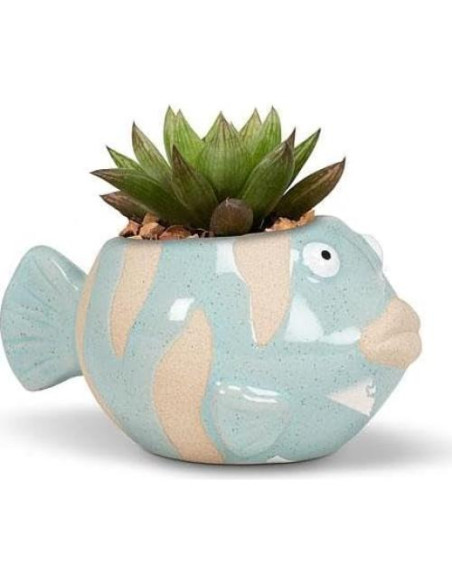 Maceta Cerámica Pez Abbott Collection Azul 5.08 cm H