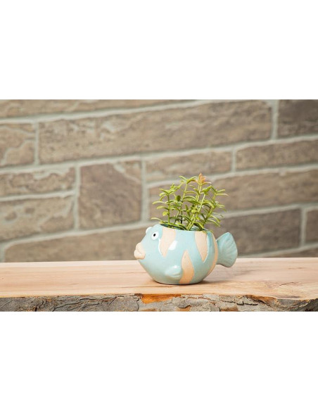 Maceta Cerámica Pez Abbott Collection Azul 5.08 cm H