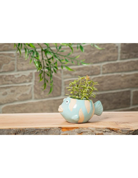 Maceta Cerámica Pez Abbott Collection Azul 5.08 cm H