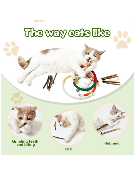 Juguetes para Gatos Petelligent - Paquete de 12 con Silvervine