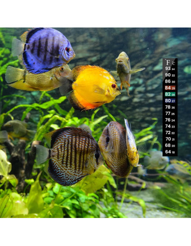 Tiras de Termómetro para Acuario AQUANEAT 6 PCS 13 cm