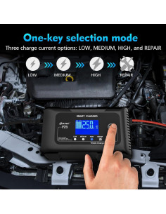 Cargador de Batería Inteligente 12V 25A Dght - Mantenedor 2