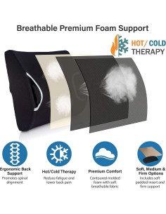 Cojín de Asiento Vaunn Soporte Lumbar Firme y Gel 2