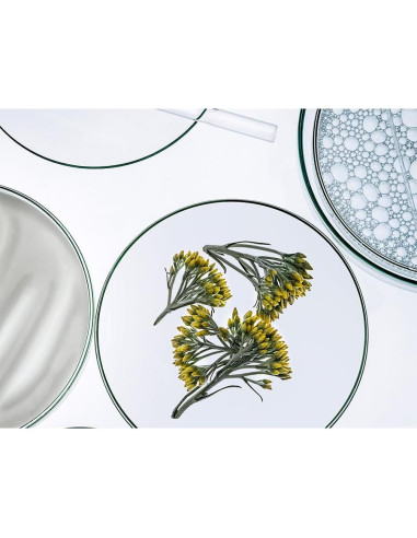 Leche Limpiadora Anti-Envejecimiento Collistar 248 ml