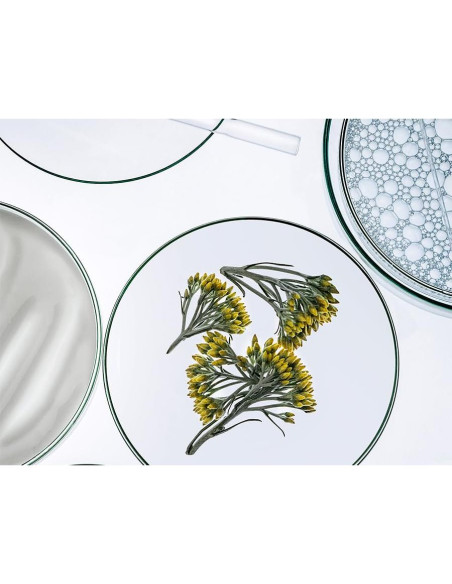 Leche Limpiadora Anti-Envejecimiento Collistar 248 ml