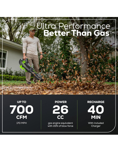 Soplador de Hojas Greenworks 80V 700 CFM Batería 2.5Ah