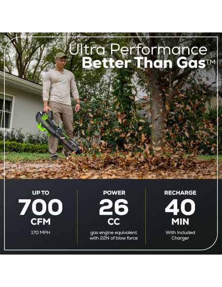 Soplador de Hojas Greenworks 80V 700 CFM Batería 2.5Ah