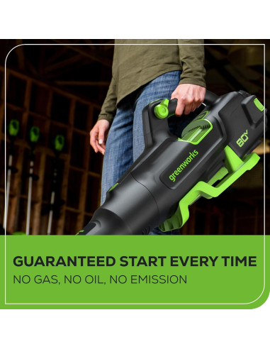Soplador de Hojas Greenworks 80V 700 CFM Batería 2.5Ah