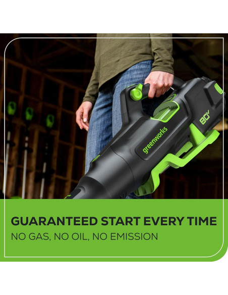 Soplador de Hojas Greenworks 80V 700 CFM Batería 2.5Ah