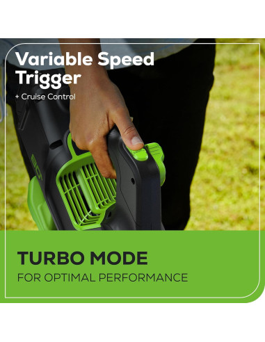 Soplador de Hojas Greenworks 80V 700 CFM Batería 2.5Ah