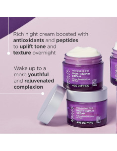 Crema Nocturna Reparadora Andalou Naturals Q10 48 g 2