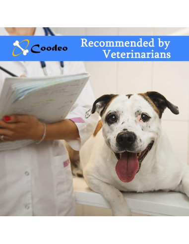 Arnés de Elevación para Perros Hanfu Ajustable Azul L