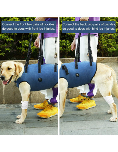 Arnés de Elevación para Perros Hanfu Ajustable Azul L