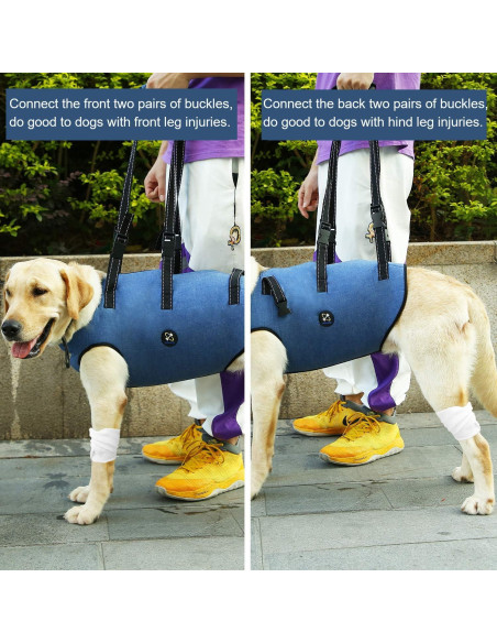 Arnés de Elevación para Perros Hanfu Ajustable Azul L