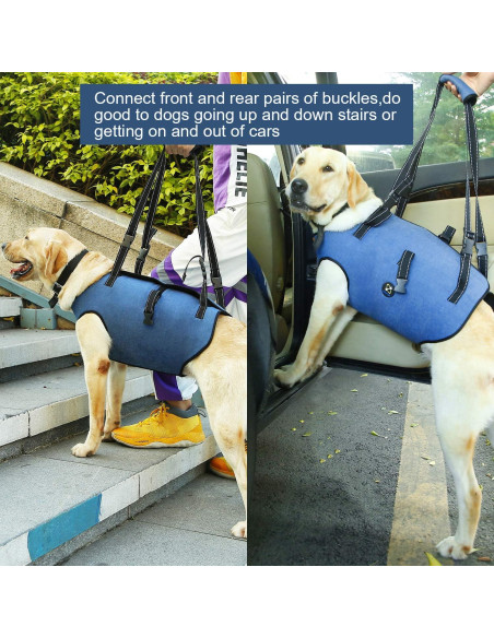 Arnés de Elevación para Perros Hanfu Ajustable Azul L