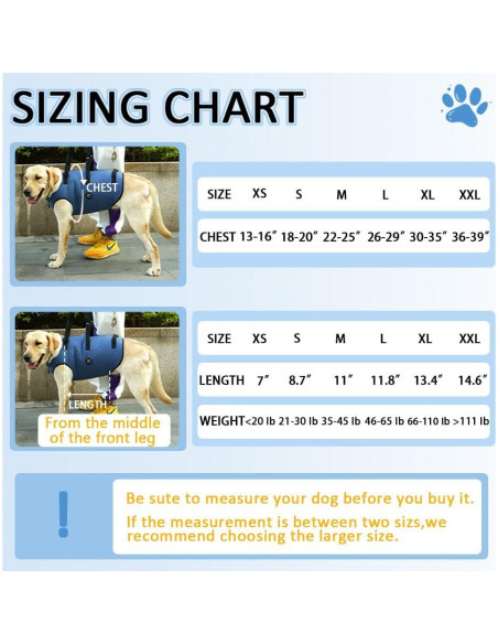 Arnés de Elevación para Perros Hanfu Ajustable Azul L