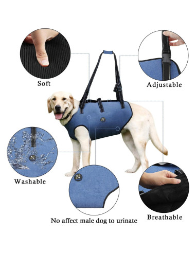 Arnés de Elevación para Perros Hanfu Ajustable Azul L