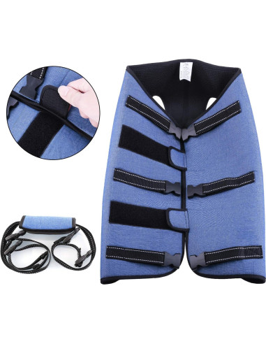 Arnés de Elevación para Perros Hanfu Ajustable Azul L