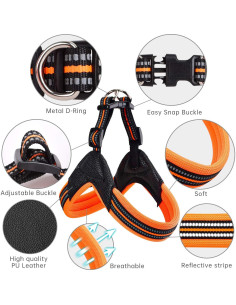 Arnés Suave Acolchado para Perros US AMY Mediano Negro 2