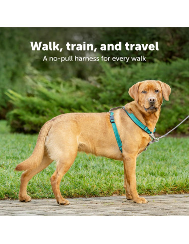 Arnés PetSafe 3 en 1 - Sin Tirones - Extra Pequeño - Negro