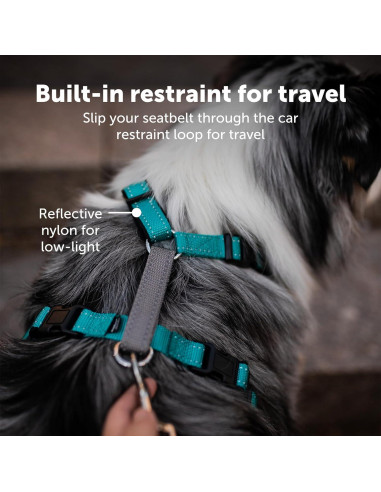 Arnés PetSafe 3 en 1 - Sin Tirones - Extra Pequeño - Negro