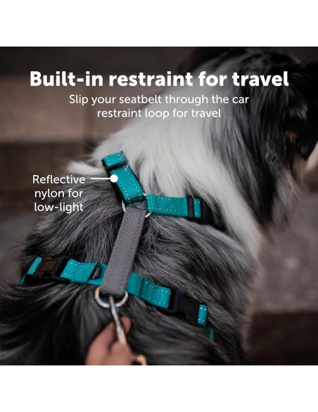 Arnés PetSafe 3 en 1 - Sin Tirones - Extra Pequeño - Negro