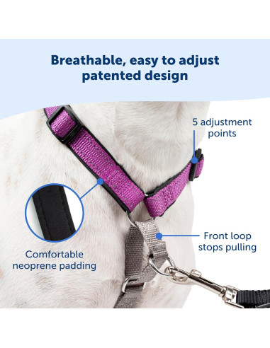 Arnés PetSafe 3 en 1 - Sin Tirones - Extra Pequeño - Negro