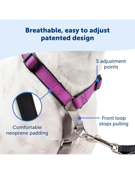 Arnés PetSafe 3 en 1 - Sin Tirones - Extra Pequeño - Negro