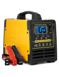 Cargador de Batería FILTERUP 12V 24V 0-15A Automático