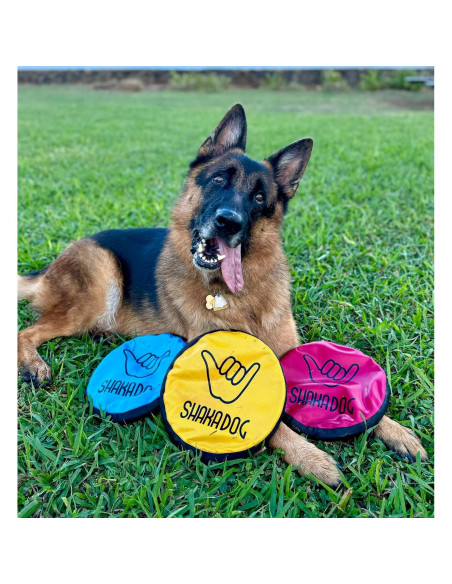 Disco Volador Interactivo Shaka ZippyToss 23 cm Multicolor